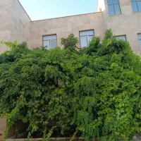 واحدآپارتمانی|فروش آپارتمان|محلات, |دیوار