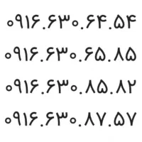 ۰۹۱۶۶۳۰۶۵۸۵
