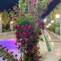 اجاره ویلا کاشمر