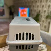 باکس مناسب گربه ها
