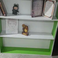 قفسه کتابخانه