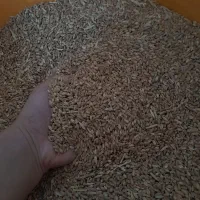 گندم فروش