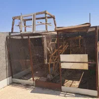 قفس|لوازم جانبی حیوانات|اردکان, |دیوار