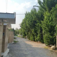 ۲۸۰ متر زمین داخل بافت /تنکابن /