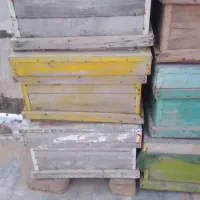 صندوق زنبورعسل کندو
