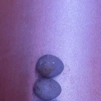 تخم بلدرچین مینیاتوری