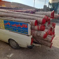 قالیشویی یاس