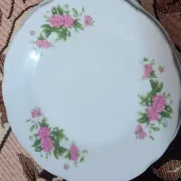 چینی|ظروف سرو و پذیرایی|رفسنجان, |دیوار