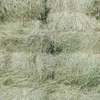 فروش فروشی یونجه