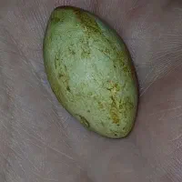 مهره ی قدیمی و طبیعی درشت تراش دار اصل و پاکستانی