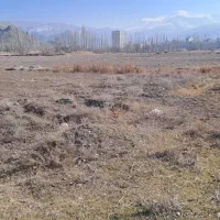 زمین-زراعتی-به-متراژ250