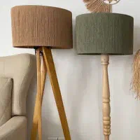 آباژور کنارسالنی