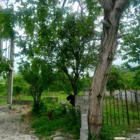فروش ویلای 125 متری