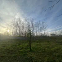 فروش زمین
