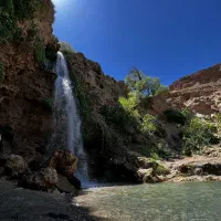 راننده با تجربه و متعهد وطبیعت گرد