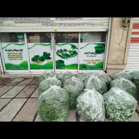 سبزی آماده عمده خرده