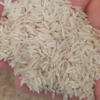 برنج فجر سوزنی