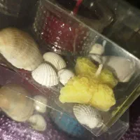 شمع بابونه