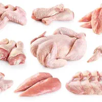 نیرو جهت قطعه کاری مرغ