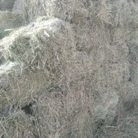 یونجه خورد شده