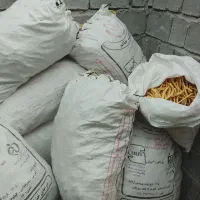 کوسک کرت