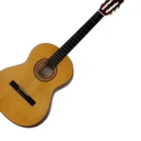 گیتار پارسی M2