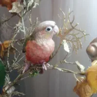 گرینچک تازه دون خور فول رام