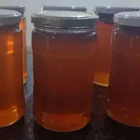 عسل کوهی