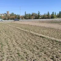 زمین مزروعی حاشیه بلوار ولیعصر