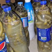 خیارشور تازه