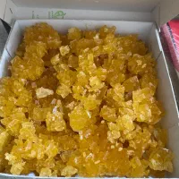 نبات درجه یک