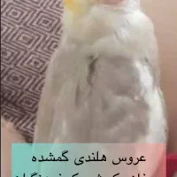 گمشده