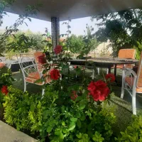 باغشهر لامرد شیراز