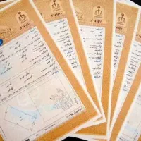 اخذ سند،جواز،ساخت و پایانکار نوشهر