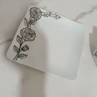 چینی پردیس نو