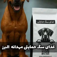 غذا خشک سگ و گربه غذا حمایتی مهدانه البرز