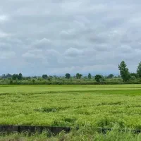 زمین-مهدی-آباد-و-شهرک-خودرو