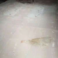 استا.بناهستم قیمت مناسب