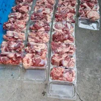 کشتار و بسته بندی بهداشتی گوشت گوسفند زنده