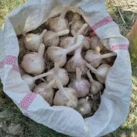 خوردنی