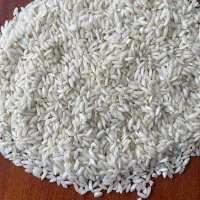 پخش و فروش عمده برنج درجه یک عنبربو جنوب