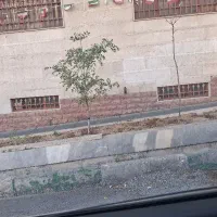 فروش-زمین-مسکونی-گلشهر-فاز-8