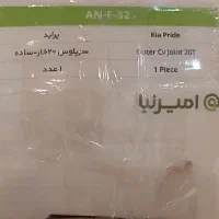 سرپلوس امیرنیا