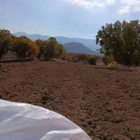 زمین مسکونی