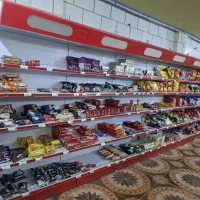 قفسه و یخچال فروشگاهی