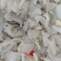 جذب نیروی کار خانم