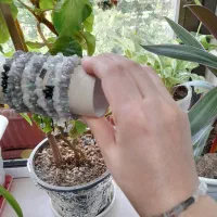 اکسسوری بسیار ظریف و زیبا