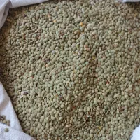 عدس‌ونخودتازه‌کرمانشاه‌درجه‌۱