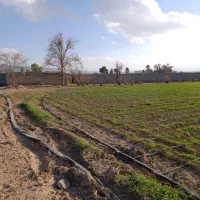 زمین-کشاورزی-باغ-سوله-گاوداری
