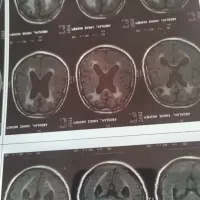 استخدام طراح سایت  و انتشار محتوای دیجیتال